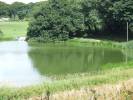 Green_Loch.JPG