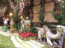 Nativity_2~0.JPG